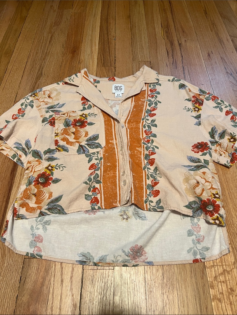 BDG Peach Floral Cropped Button-Up with Rust Stripes